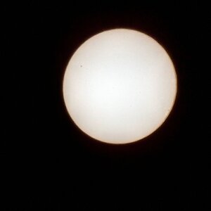 TZ ZIM 5546