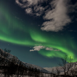 2015 Tromsø 122