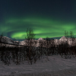 2015 Tromsø 127