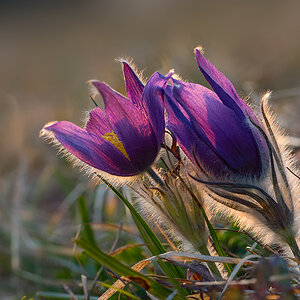 20150319 180357 Kopie