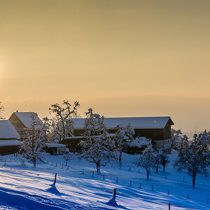 Sonne 9