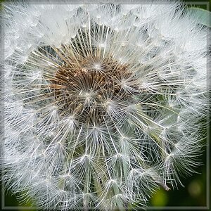 20150514 0137 [NIKON 1 J5] 70 mm,1 320 Sek. bei ƒ   5,6 2
