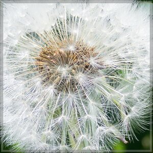 20150514 0137 [NIKON 1 v3] 70 mm,1 320 Sek. bei ƒ   5,6