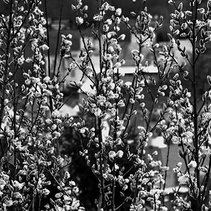 comp img006 bearbeitet