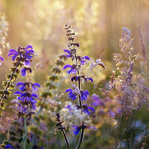 1201024diesonnekommtkl