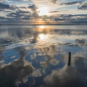 friesland fhaus 2