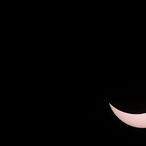 Jetzt ist der Höhepunkt überschritten.

D7100+500/4 (500mm, 35mm äquivalent: 750 mm)
1/350s, EB -2,5, F/11, ISO 200
beschnitten auf: 4223x2378