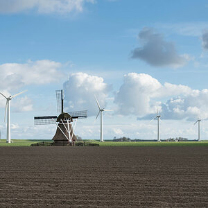 friesland wm 1