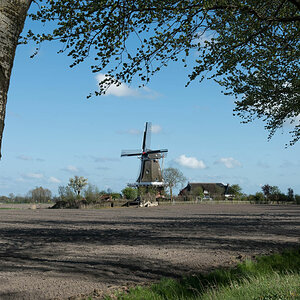 friesland wm 3