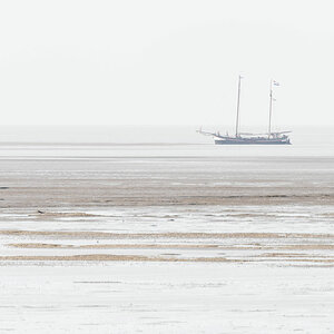 friesland 11
