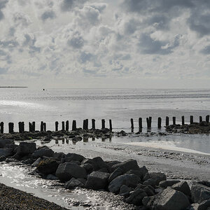 friesland 12