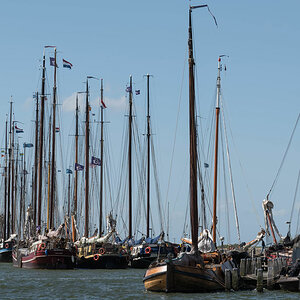friesland 13