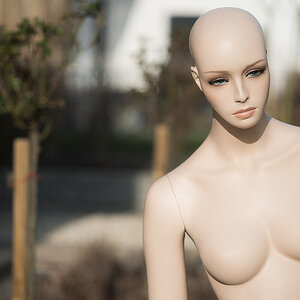 D80 8260