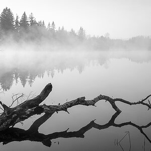 Moorsee am Morgen sw