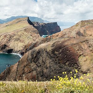 comp Madeira Forum (11 von 1)