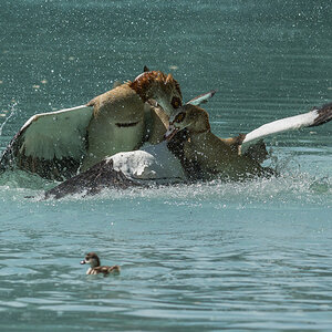 [No title]