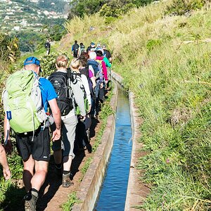 Madeira (16)