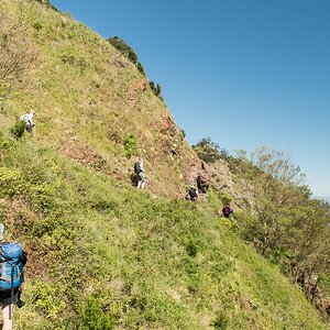 Madeira (18)