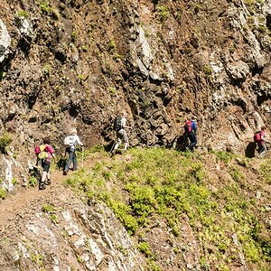 Madeira (19)