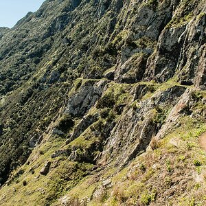 Madeira (20)