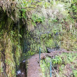 Madeira (27)