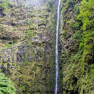 Madeira (29)
