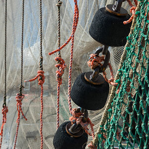 friesland 14