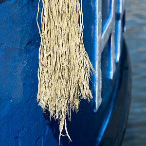 friesland 15