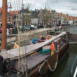 friesland 16
