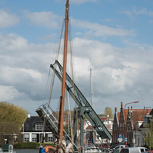 friesland 18