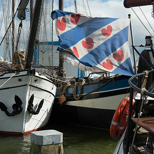 friesland 20