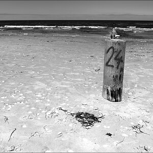 DSC 10106   Zingst