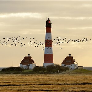 aacomp nordfriesland 20150403 5089 1920