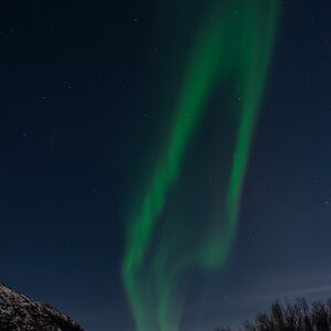 2015 Tromsø 201