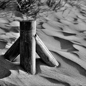 DSC 10303   Zingst