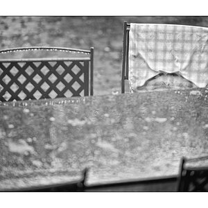 RegenPZ1 6081