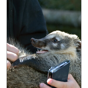 ZooPZ1 5750