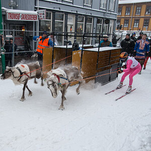 2015 Tromsø 231