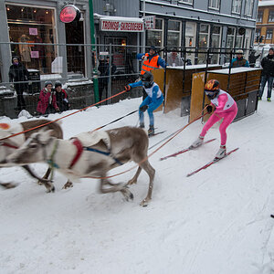 2015 Tromsø 232