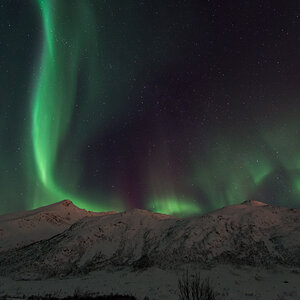 2015 Tromsø 252