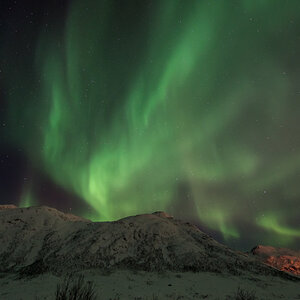 2015 Tromsø 259