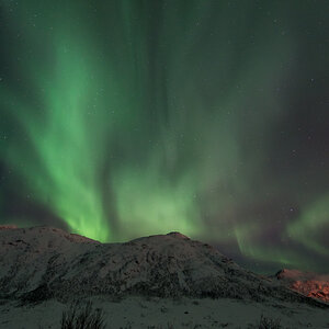 2015 Tromsø 260