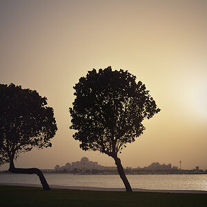 Abu Dhabi 02 035b 1024