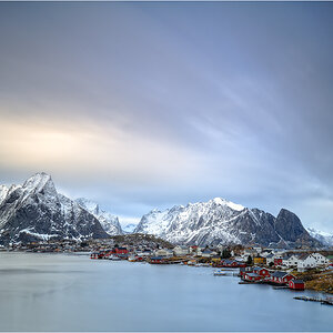 Reine