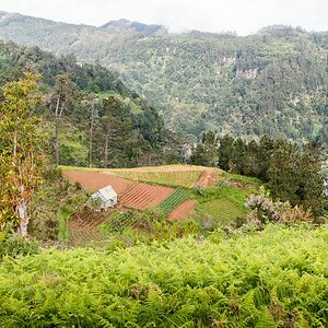 comp Madeira Forum 13 (11 von 1)