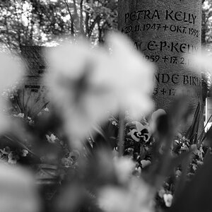 Petra Kelly A