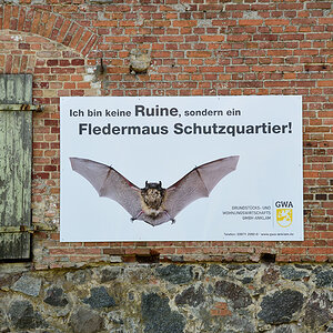 Ruine Anklam, 2