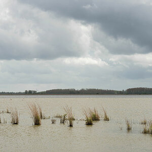 friesland 23