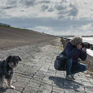 friesland 25