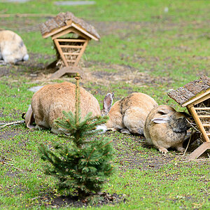 LR5.7, ISO 640, 1/800 Sek. bei f/5,3, 240 mm.